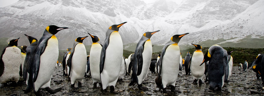 Antarctica: the last frontier!