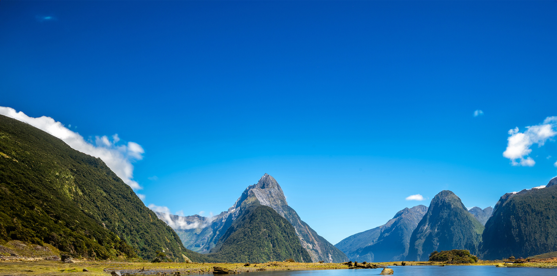 New Zealand Christmas Celebration